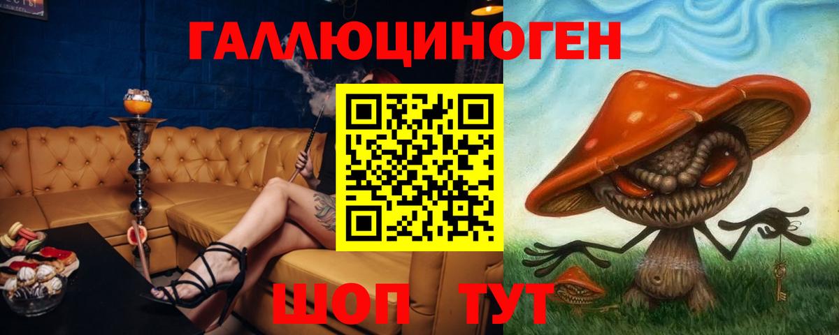 Галлюциногенные грибы Psilocybe Железноводск